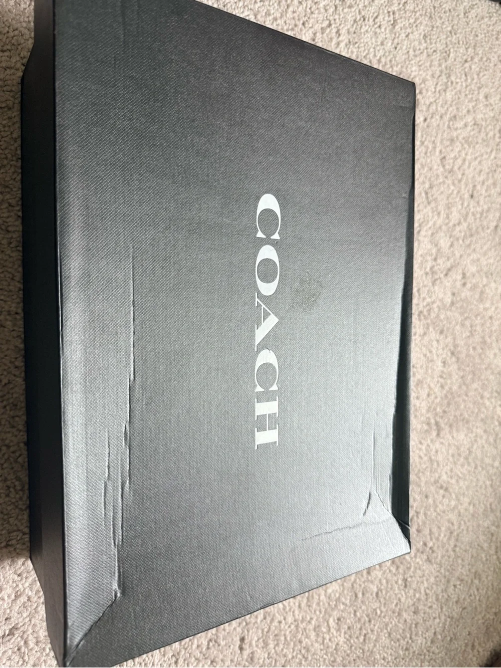 Coach Women's Sculpted C Platform Clogs in Shearling and Suede